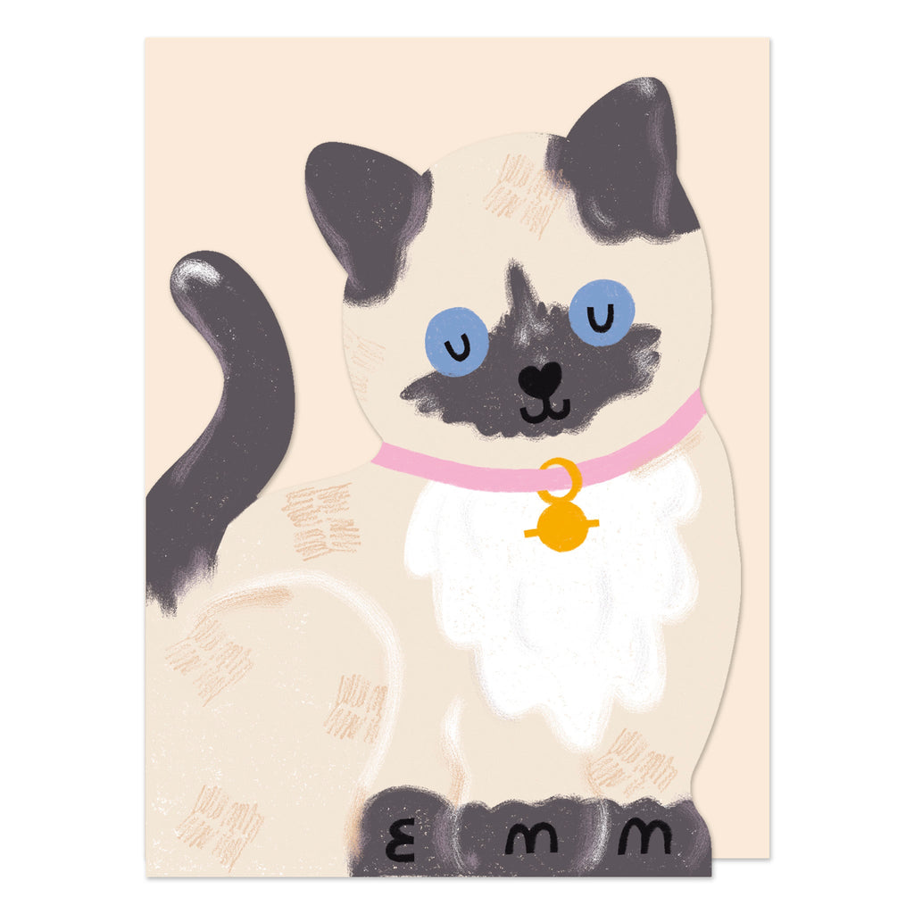 Siamese Kitten