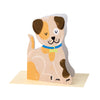 Terrier Puppy