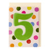Age 5