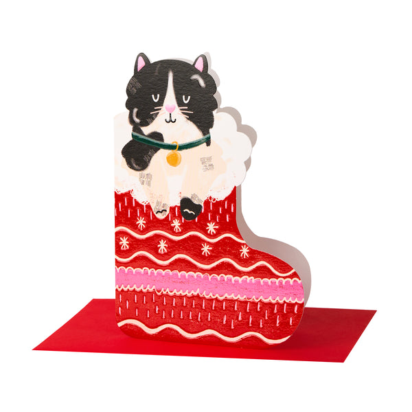 Black & White cat in Christmas stocking