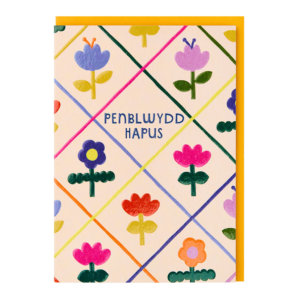 Penblwydd Hapus (Happy Birthday)