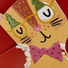 Ginger Tom Cat - Christmas cape & glasses